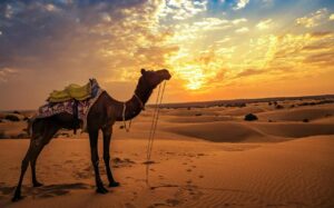 jaipur bikaner jaisalmer tour