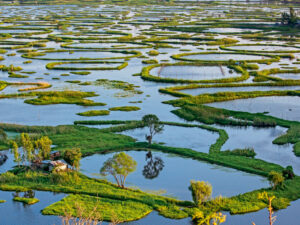 best of manipur nagaland tour