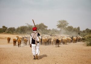 Offbeat Rajasthan Villages and Desert Tour